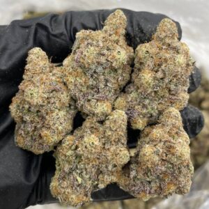 candy mac indoor cannabis flower with frosty purple buds