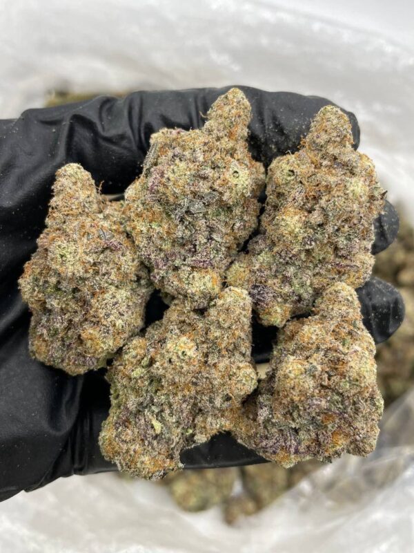 candy mac indoor cannabis flower with frosty purple buds