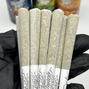 jungle boys mini prerolls jar with indoor flower