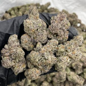 cherry pop rocks indoor flower