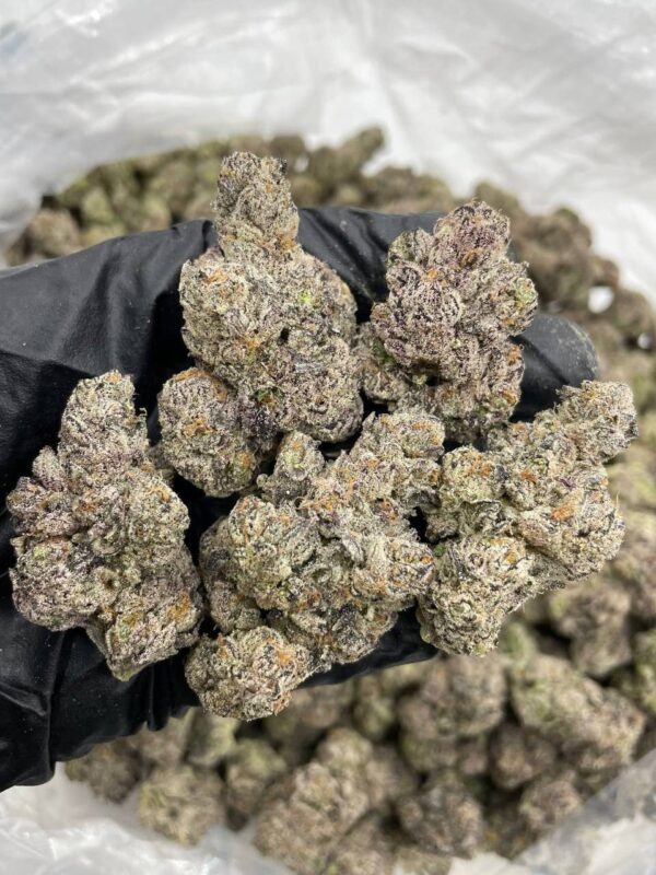cherry pop rocks indoor flower