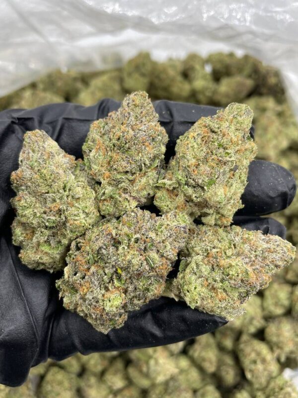 Nutter Butter mixed lights