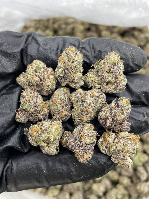 rainbow runtz indoor smalls cannabis
