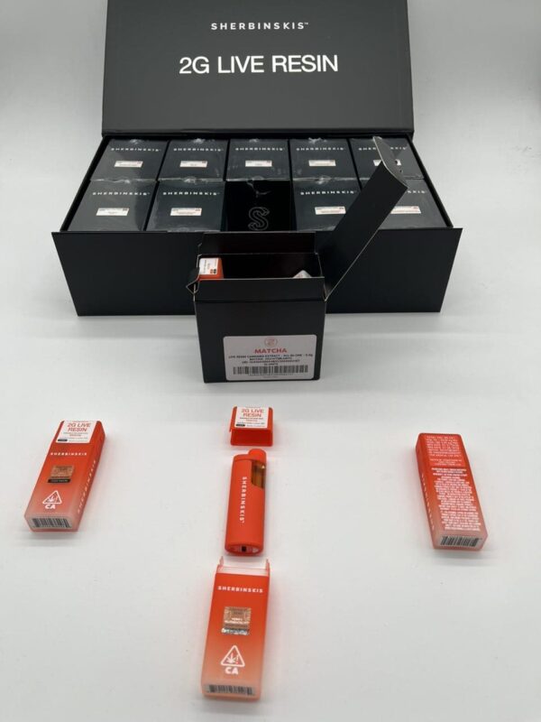 sherbinski 2g disposable