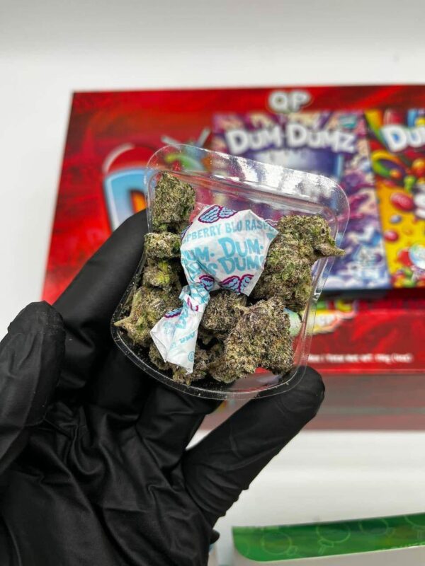Dum Dumz Cannabis – Exotic Flower for $300 OZ