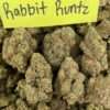Rabbit Runtz cheap pound