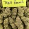 Tigers Breath cheap pound