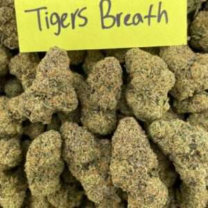 Tigers Breath cheap pound